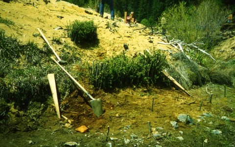 Walker Mine near Portola